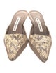 Manolo Blahnik Suede Animal Print Mules