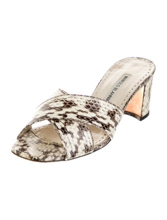 Manolo Blahnik Snakeskin Animal Print Slides