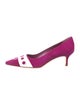 Manolo Blahnik Suede Pumps
