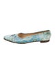 Manolo Blahnik Leather Printed Ballet Flats