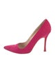 Manolo Blahnik Suede Pumps