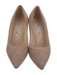Manolo Blahnik Suede Pumps