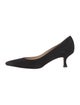 Manolo Blahnik Suede Pumps