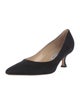 Manolo Blahnik Suede Pumps