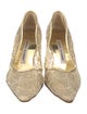 Manolo Blahnik Mesh Lace Pattern Pumps