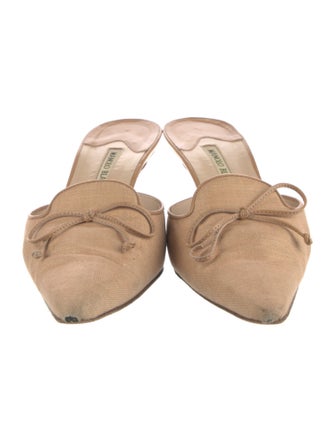 Manolo Blahnik Suede Mules