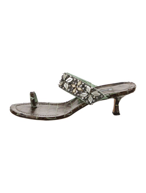 Manolo Blahnik Leather Printed Slides
