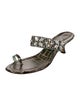 Manolo Blahnik Leather Printed Slides