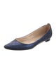 Manolo Blahnik Leather Ballet Flats
