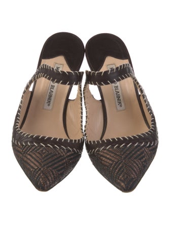 Manolo Blahnik Canvas Mules