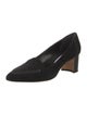 Manolo Blahnik Suede Pumps