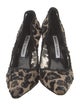Manolo Blahnik Sequins Animal Print Pumps