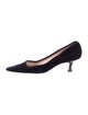 Manolo Blahnik Suede Pumps