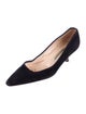 Manolo Blahnik Suede Pumps
