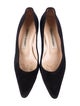 Manolo Blahnik Suede Pumps