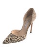 Manolo Blahnik Suede Animal Print D'Orsay Pumps