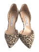 Manolo Blahnik Suede Animal Print D'Orsay Pumps