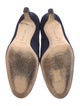 Manolo Blahnik Suede Pumps