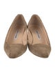 Manolo Blahnik Suede Scalloped Accent Pumps
