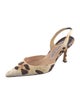 Manolo Blahnik Canvas Printed Slingback Pumps