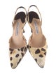 Manolo Blahnik Canvas Printed Slingback Pumps