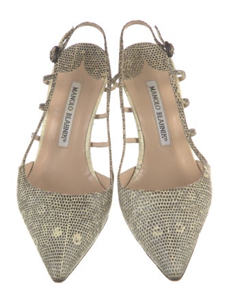 Manolo Blahnik Lizard Animal Print Slingback Pumps