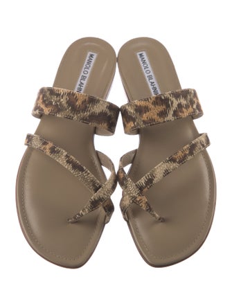 Manolo Blahnik Leather Animal Print Slides