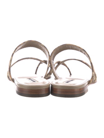 Manolo Blahnik Leather Animal Print Slides