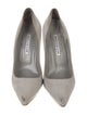 Manolo Blahnik Suede Pumps