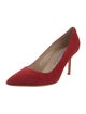 Manolo Blahnik Suede Pumps