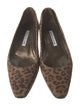 Manolo Blahnik Suede Animal Print Flats