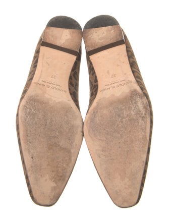 Manolo Blahnik Suede Animal Print Flats