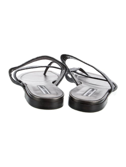 Manolo Blahnik Glitter Glitter Accents Slides