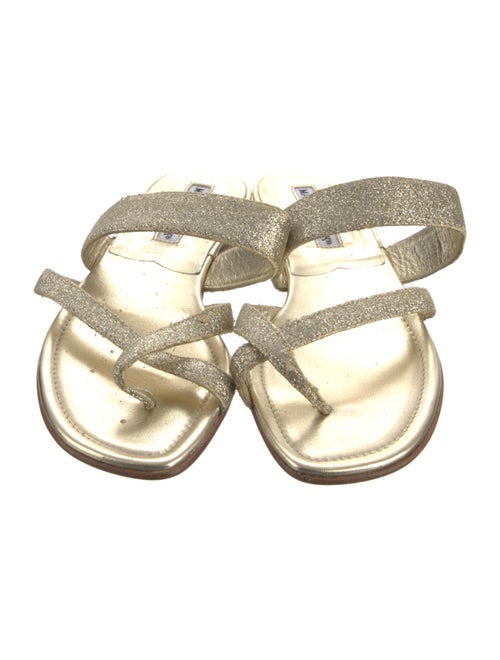 Manolo Blahnik Glitter Glitter Accents Slides