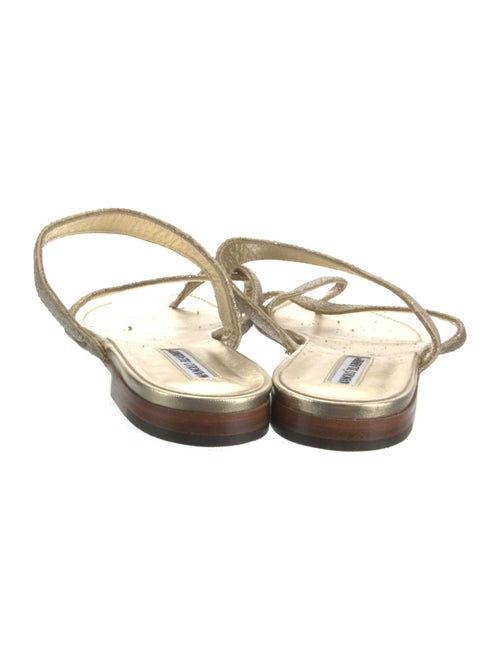 Manolo Blahnik Glitter Glitter Accents Slides