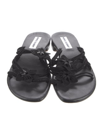 Manolo Blahnik Suede Slides
