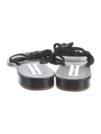Manolo Blahnik Suede Slides