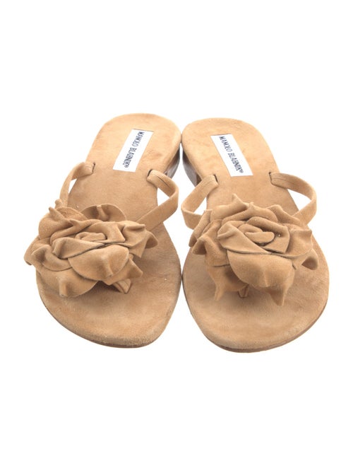 Manolo Blahnik Suede Floral Print Slides