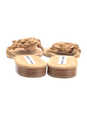 Manolo Blahnik Suede Floral Print Slides