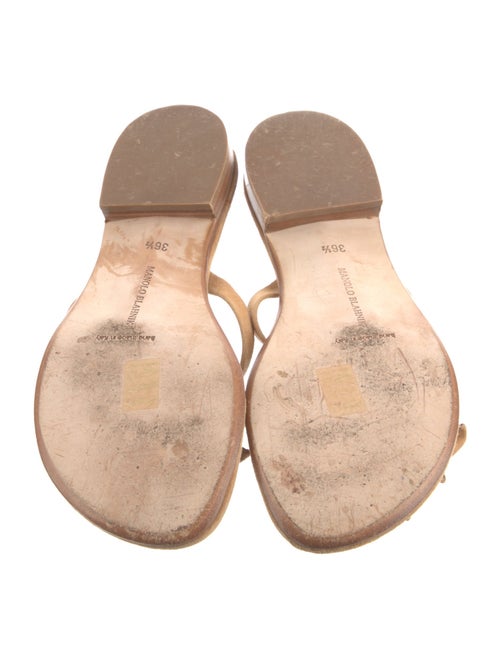 Manolo Blahnik Suede Floral Print Slides