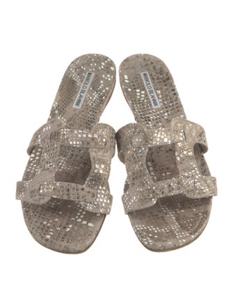 Manolo Blahnik Suede Animal Print Slides