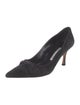 Manolo Blahnik Suede Pumps
