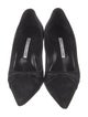Manolo Blahnik Suede Pumps