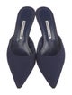 Manolo Blahnik Canvas Mules