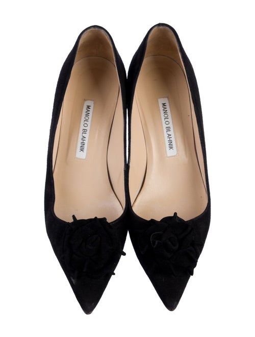 Manolo Blahnik Suede Pumps
