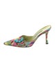 Manolo Blahnik Canvas Printed Mules