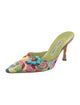 Manolo Blahnik Canvas Printed Mules