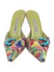 Manolo Blahnik Canvas Printed Mules