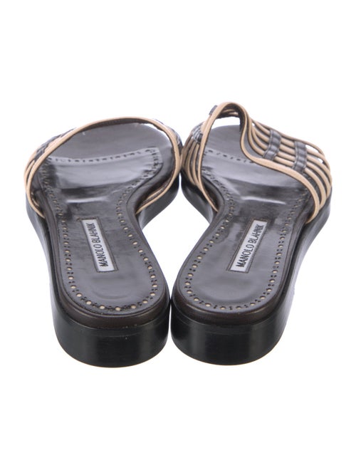 Manolo Blahnik Leather Printed Slides