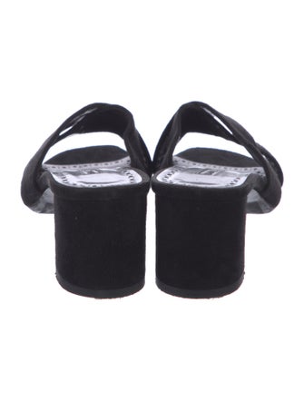 Manolo Blahnik Suede Slides